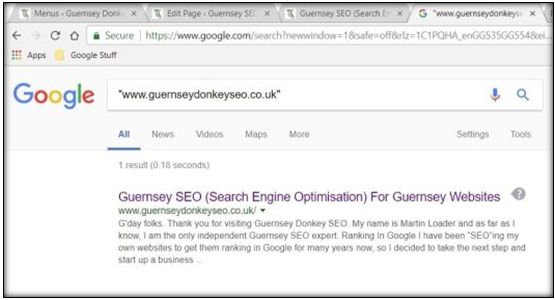 Guernsey Donkey SEO Indexed