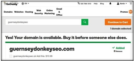 Guernsey Donkey SEO New Domain