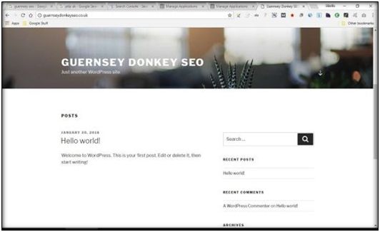 Guernsey Donkey SEO Website
