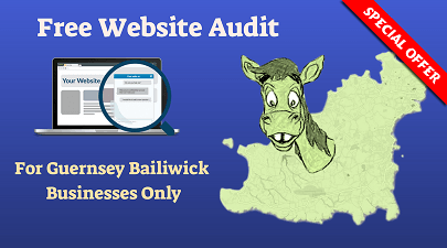 Free Website Audit Guernsey Donkey